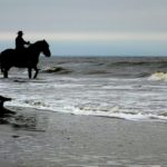equestrian-hunting-island